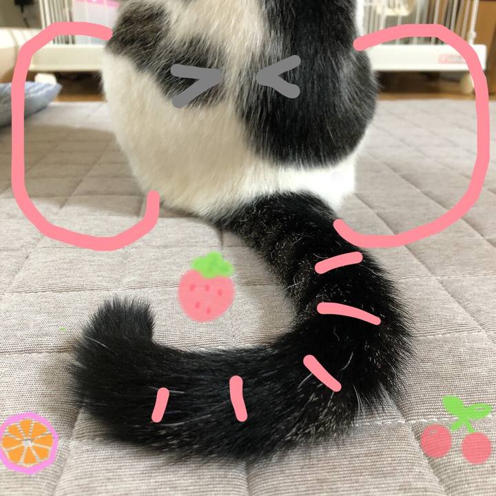 Df788216 0324 466c bdaa 61a1f231d0ed 1639832171929