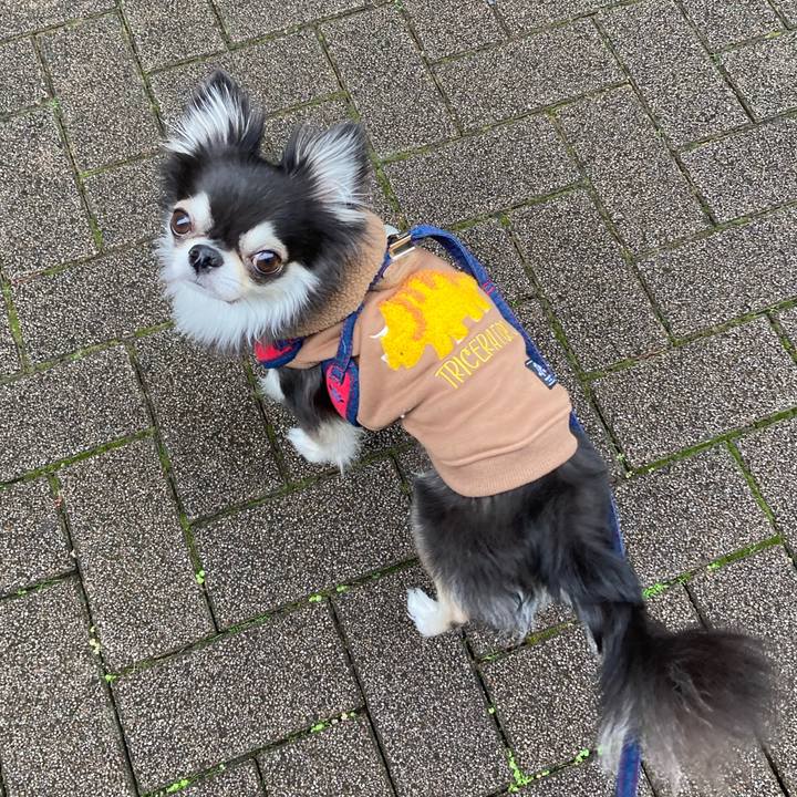 Df7888e6 8f14 4502 ac90 d21a771803d0 1700994496989