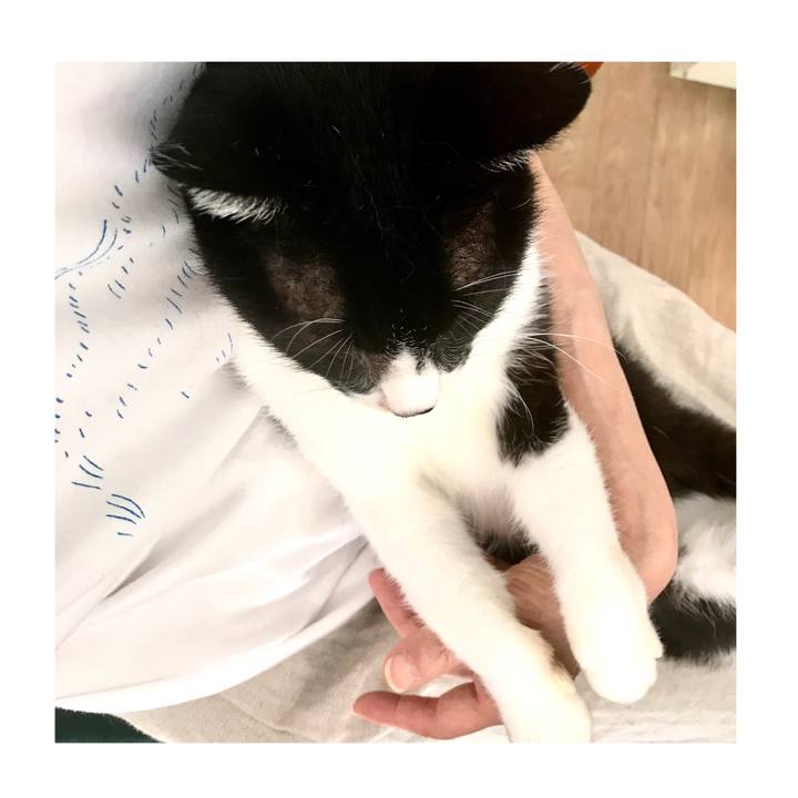 Df789c25 7ae6 4c5b 93fa f57afbdf6e77 1600128214607