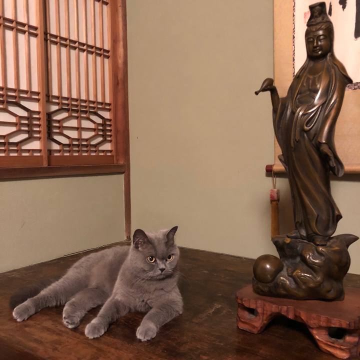 Df78d206 4275 4fc6 9af0 03ba37d76ab7 1561980318079