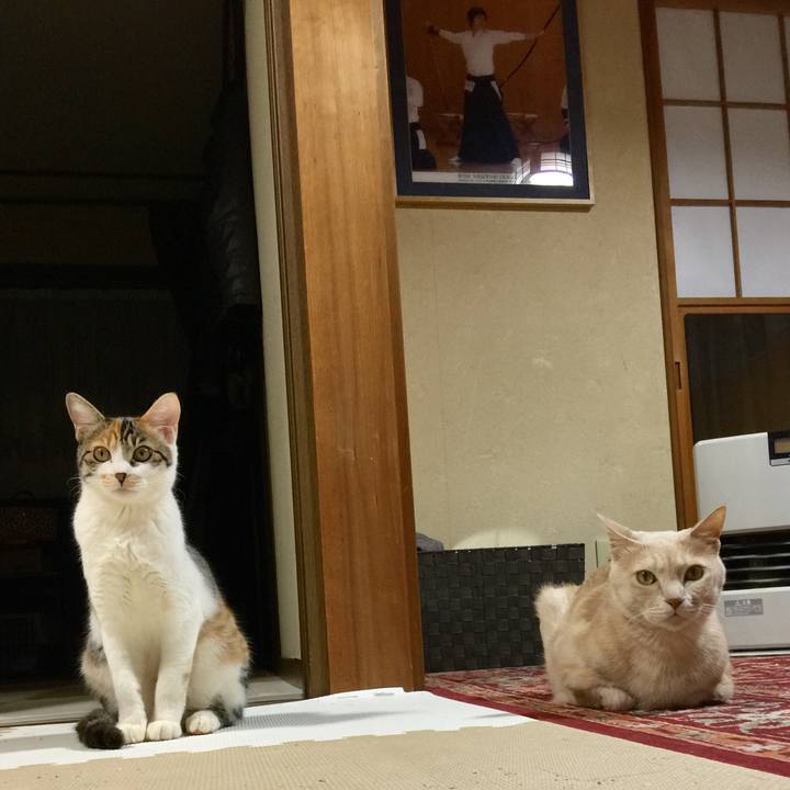 Df78d4d0 33b6 46ce a741 2ad1715f76f0 1641728686541