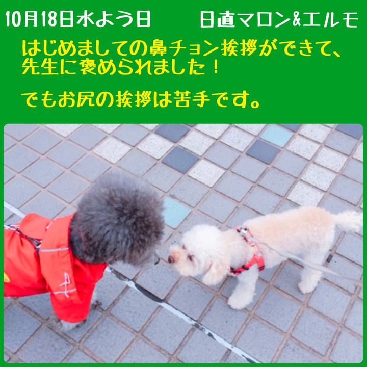 Df794718 88b8 4cdb 8036 be13f88788fd 1508284969739