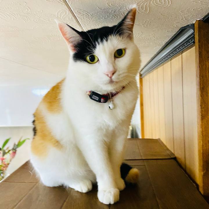 Df795286 82f9 4496 8c1d 4e9987f9dad9 1686665961776