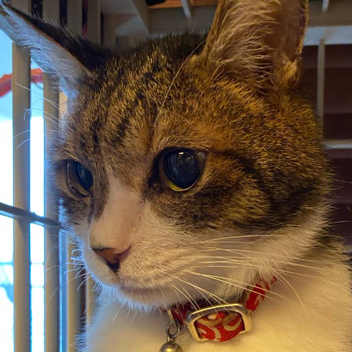 Df795e68 57ff 42db bca9 a906a656a554 1603371616977