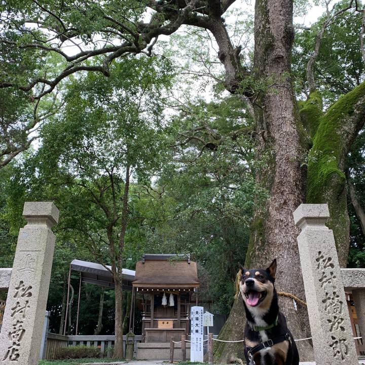 Df7963b1 a630 4a61 9ba8 4d03d14f39cc 1563689934053