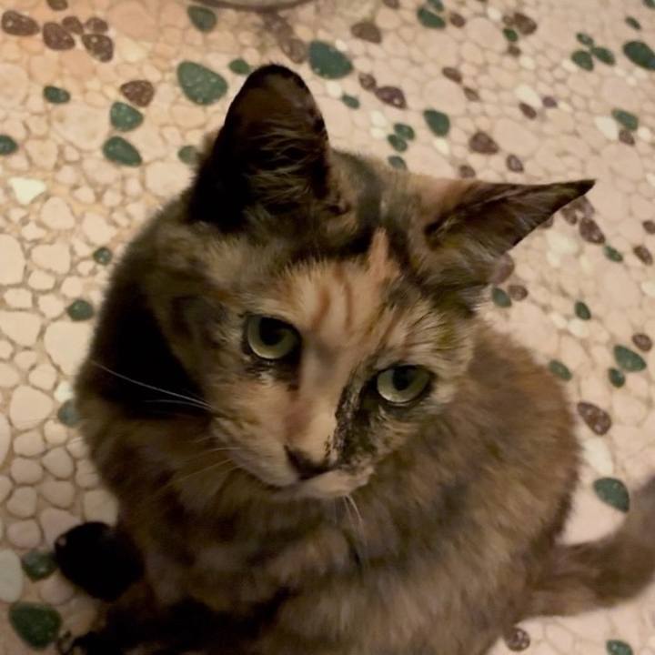 Df79760d c95e 4ad3 891b 3810156bcc7f 1749758274687