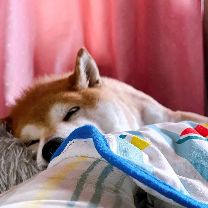 Df797aa9 41ce 4978 bd9f f92fbe834368 1720916259701