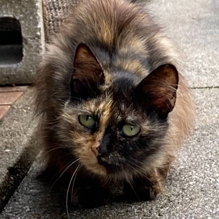 Df797b52 3c7a 4ecc 95eb 80d39cc8d858 1686441662695