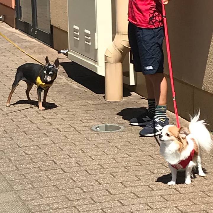 Df797c3d 5ba3 4460 82dc d0de5279fbcb 1534557530502