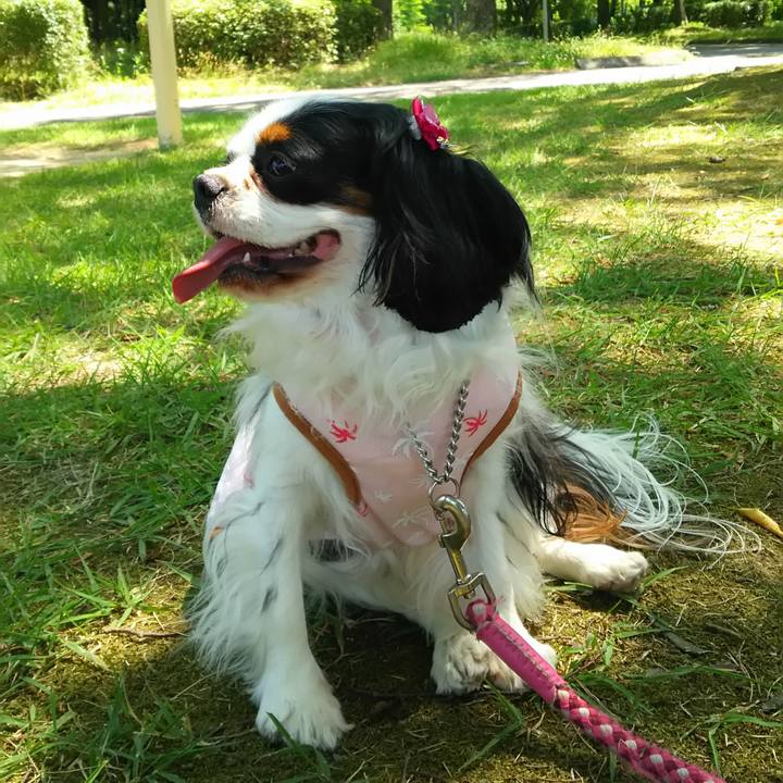 Df79c45d 3cf1 4d7a b6cf 6b0521f7448b 1591297884247