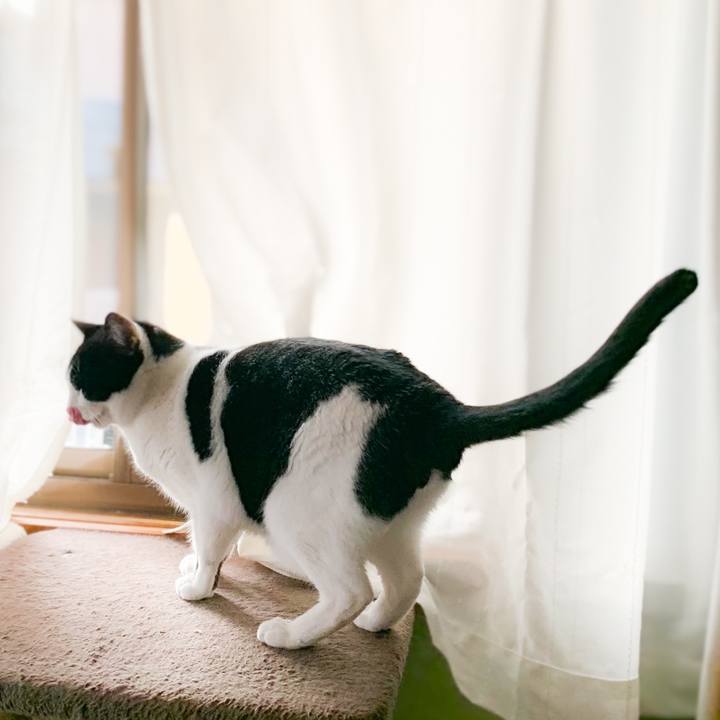 Df79cb8d ad2f 44fe b76a f0285dc25385 1581903623928