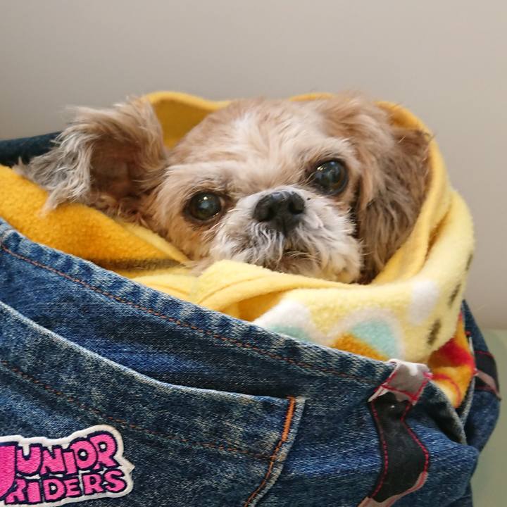 Df79da6f 37ca 44b9 b124 677f7898ceff 1710414377742