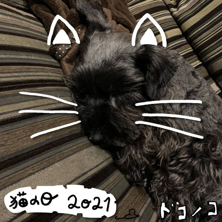 Df79e4d8 9712 45c7 b2ce 3ce12198b06a 1613999646109