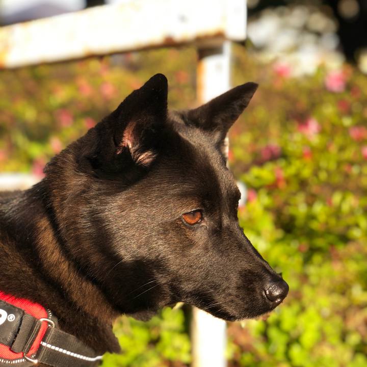 Df79f421 f94d 4541 b763 a2038581b949 1558821407772