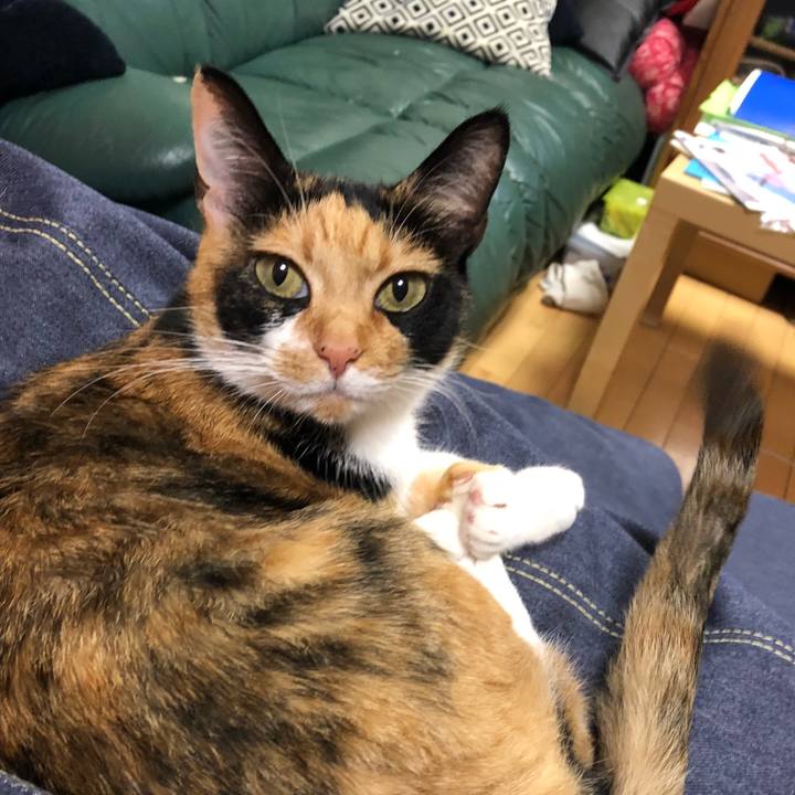 Df7a1aaf f223 4d9e 91c3 8b95c69cecb6 1531743705917