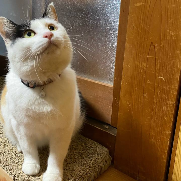 Df7a6d63 744b 4e41 b915 27833387ffe3 1648126350679