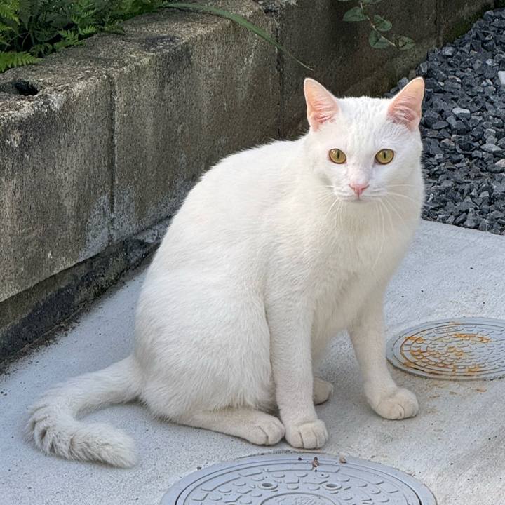 Df7a8b2c e4b0 4504 a0ba ff9e1a226772 1759804436306