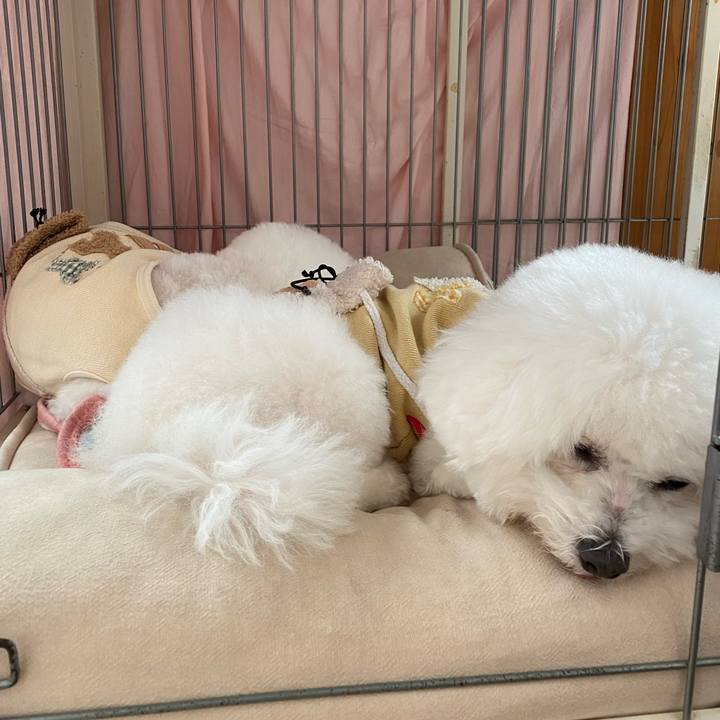 Df7ab1f7 c0fb 41a7 8e7f 7157fa9068a8 1670367672837