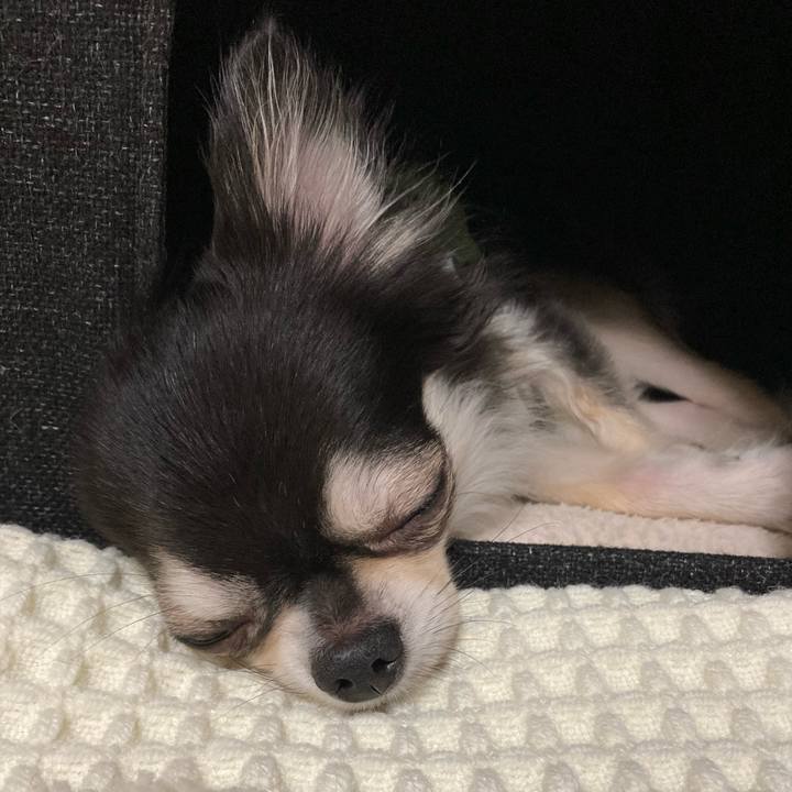 Df7abd16 ad3c 4190 b261 061bb4cade98 1690037403838