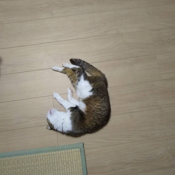 Df7ad2f6 f104 42d8 936f 67b142822378 1560340865143