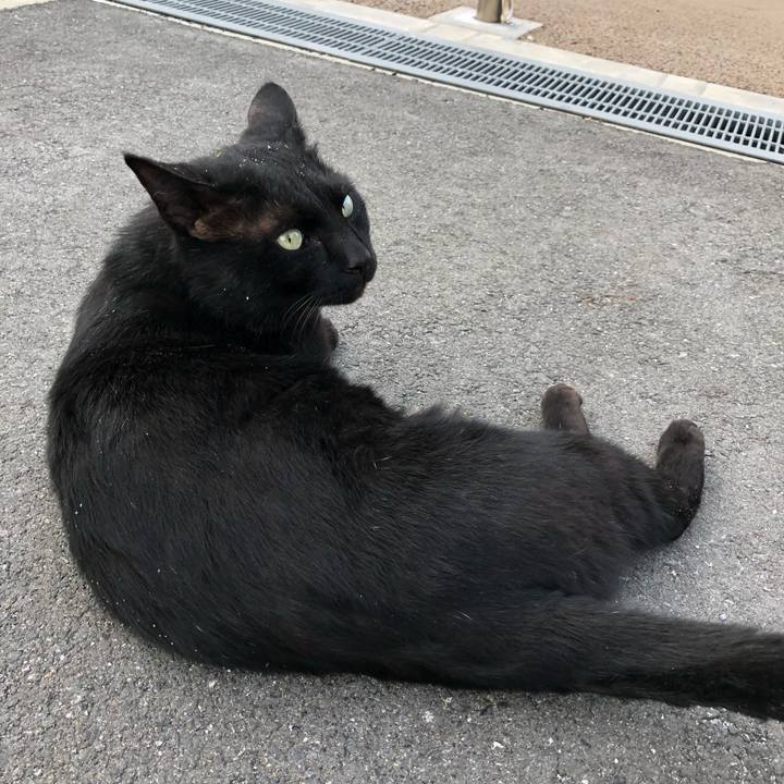 Df7b2f82 ddc7 4901 8427 119e8b9442e5 1523738905137