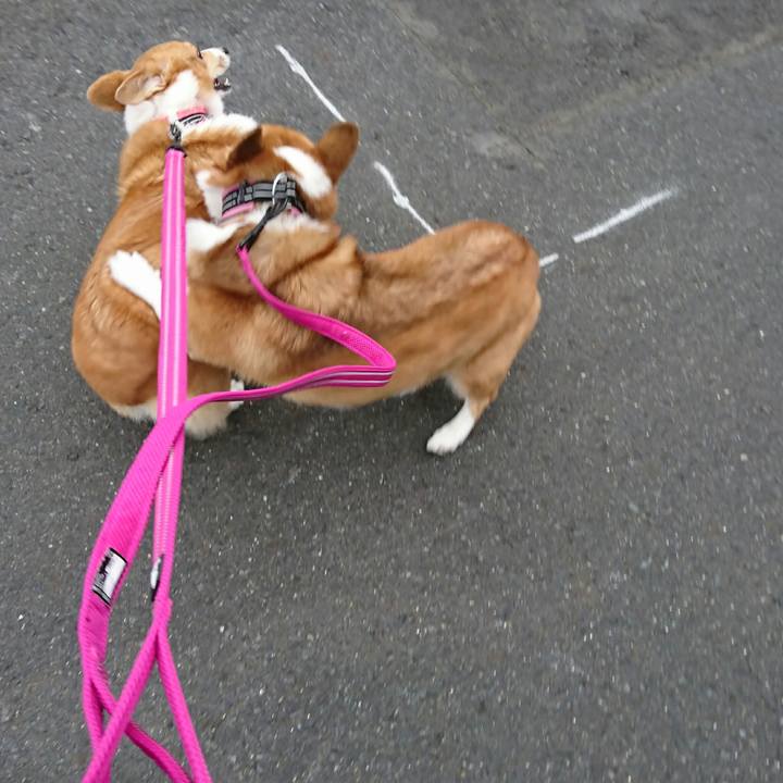 Df7b54f7 dad5 4ee1 9cdc cd6ada43c02b 1507984283298