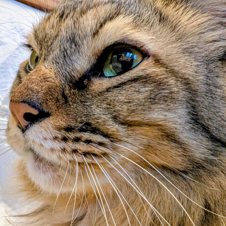 Df7b5bfb ca13 4343 9327 bd928e74f6ca 1766185325531