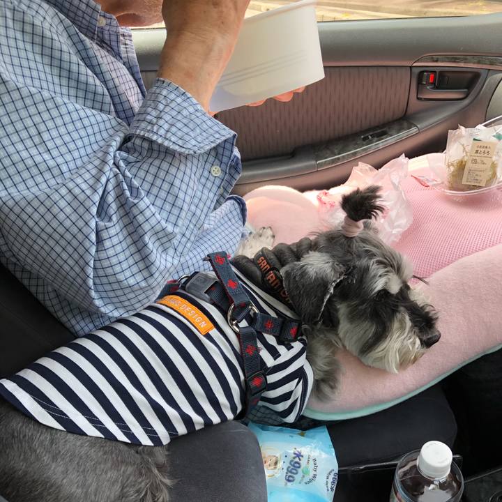 Df7b5d46 270b 49e0 8d8e 4cd7353e6410 1651842911675