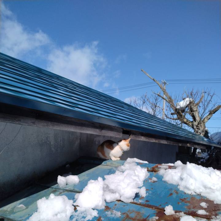 Df7b7000 cf90 4190 b326 558882e4e0b8 1739598690398