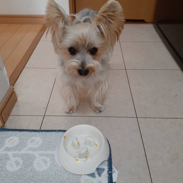 Df7b953d c6aa 4418 8354 1db78aeaffd6 1667963694429