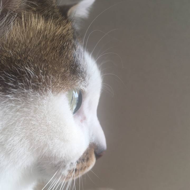 Df7ba356 0c76 4cca a250 5491214a29b0 1551419570435