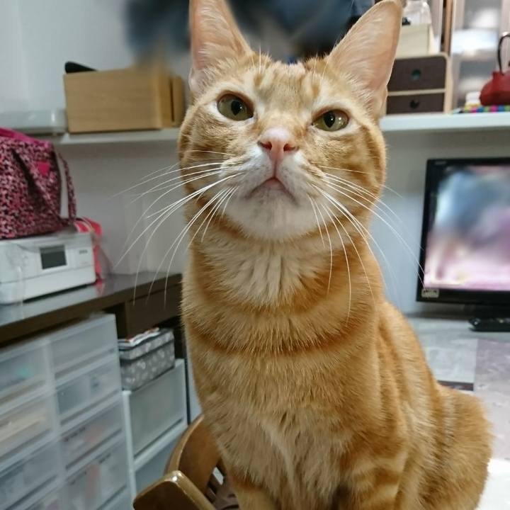 Df7ba97b 63b0 46bb b83b b46ab93c98fe 1514422632993