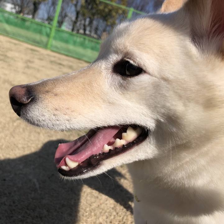 Df7bb1ad 1f99 4a97 8b1a 2f991e14280d 1519976144094