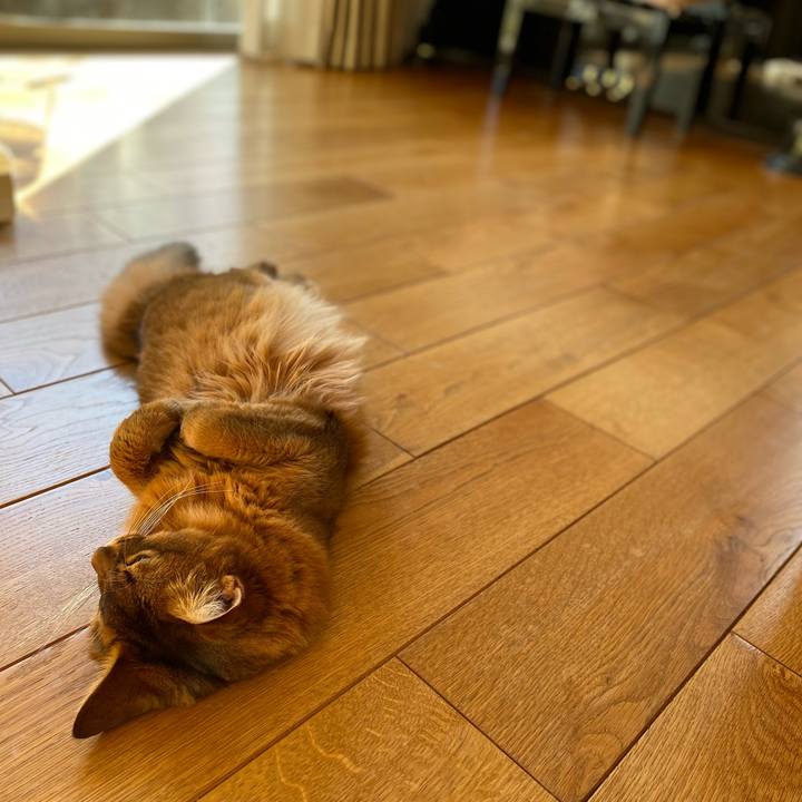 Df7bca14 d019 4d2e 90df 4f162d339031 1699943141985