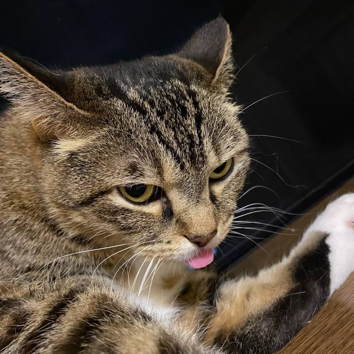 Df7c004b 5473 44cc 9ee4 554a8c7d3bc8 1629681506334