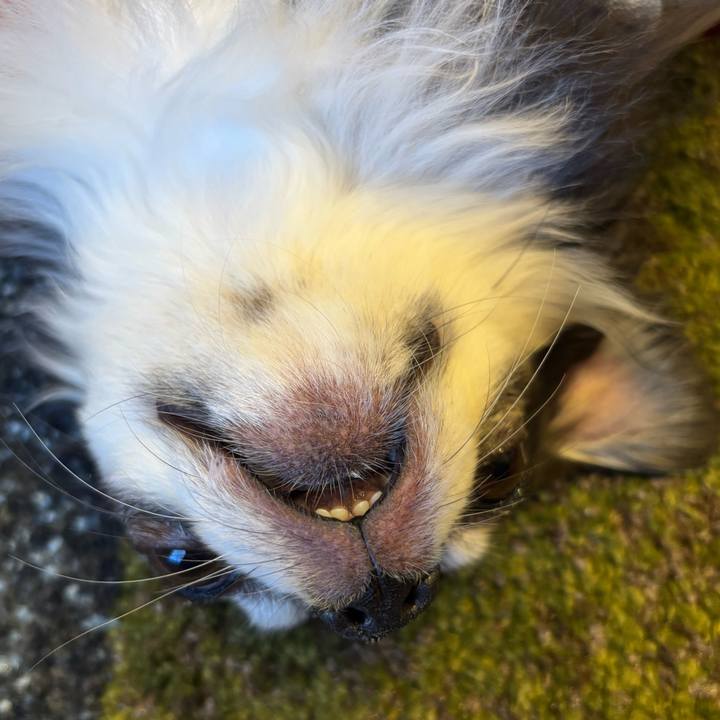 Df7d2669 97b0 4fa9 b832 fd0da968605a 1745943915516