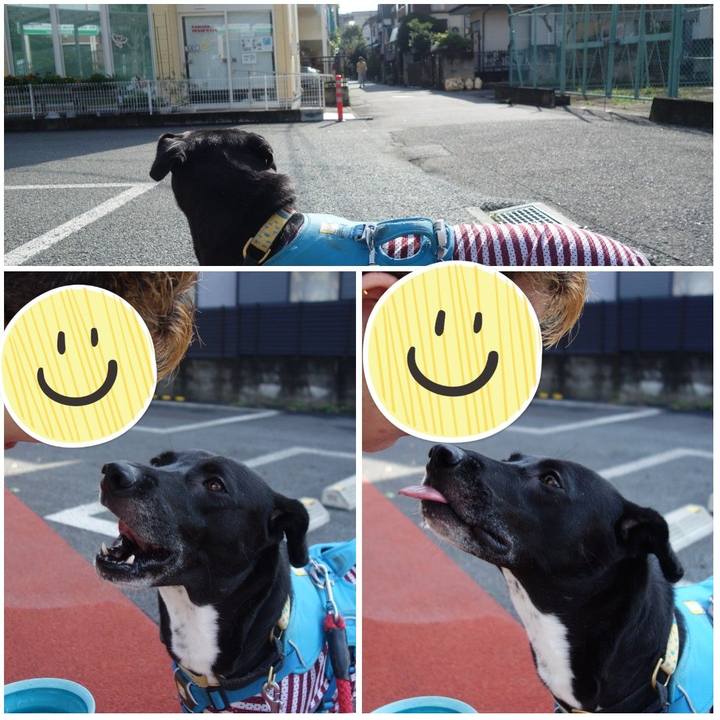 Df7d3805 11f6 454d 895a 5211774cdb54 1626048171880