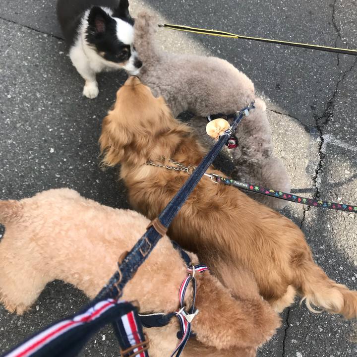 Df7d5899 1e14 4b44 bad3 32f72bddd92b 1526016610461