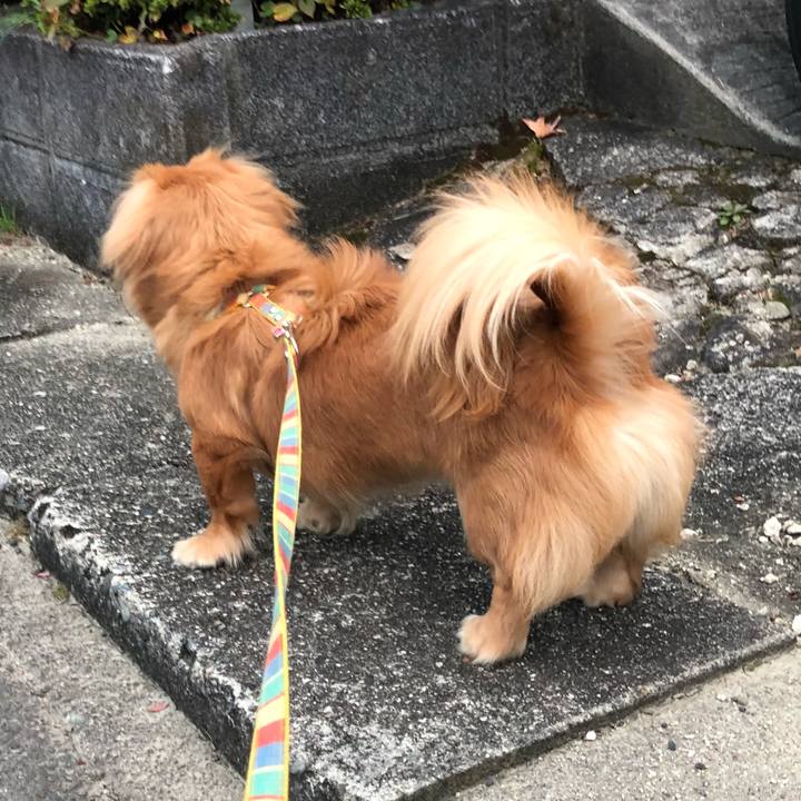 Df7d8caa e54a 4e6c a1a5 93c7e18bbf6a 1510006887742