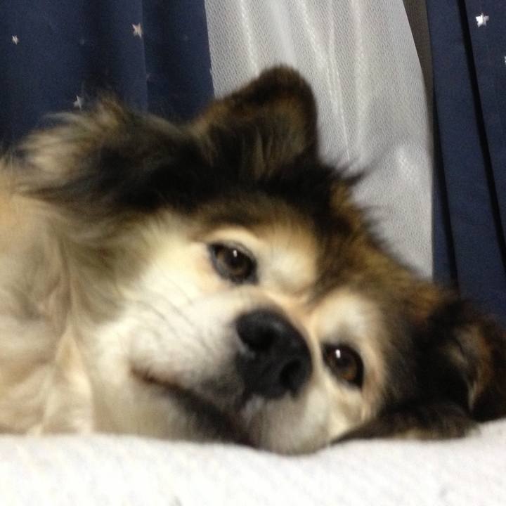 Df7da5f7 3137 4012 922a b8994e717684 1551053591611