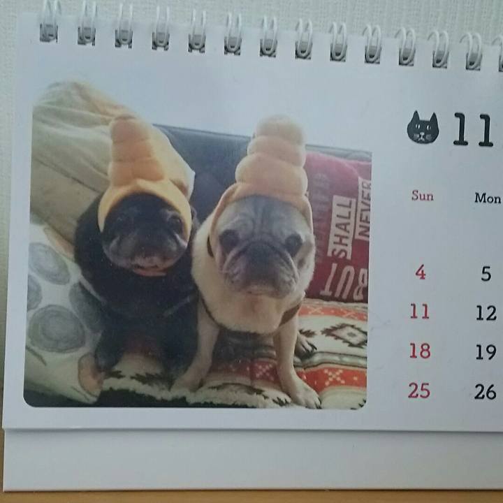 Df7dbccd 9d11 4e40 8a5f 1b26ba86539e 1543375422585