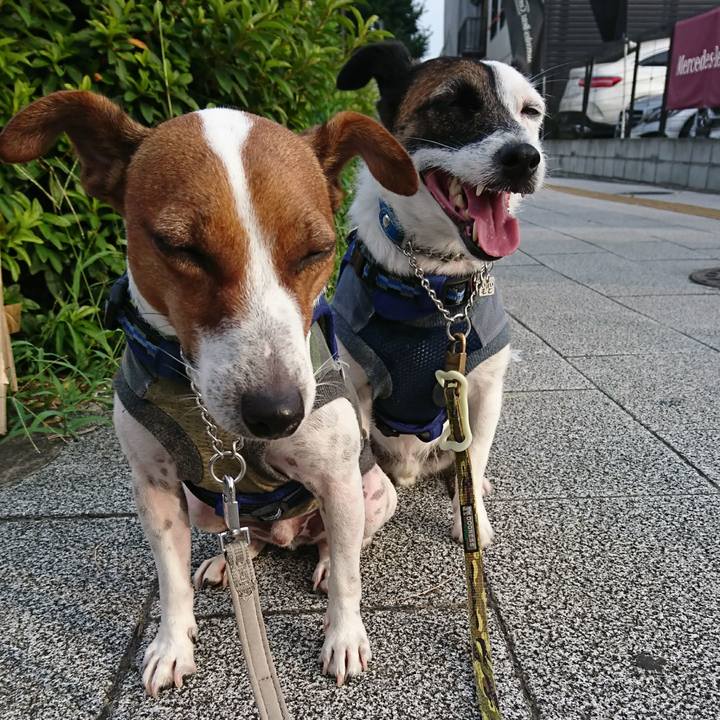 Df7dcd3f 5574 4740 95c8 1dea646e0659 1597009335814