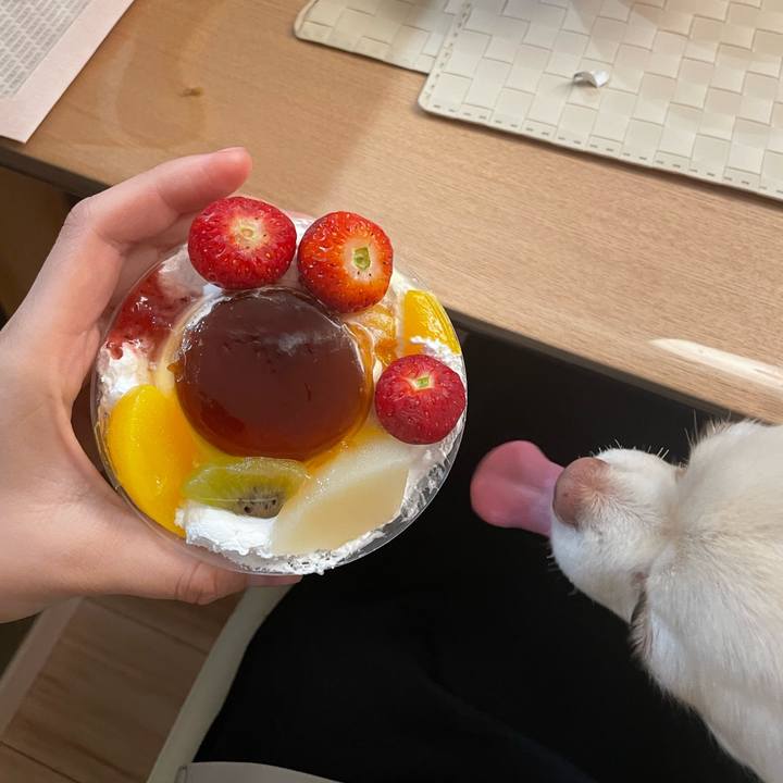 Df7ddd4d 8a91 4ca5 ab36 7f48b5e18489 1740664402612