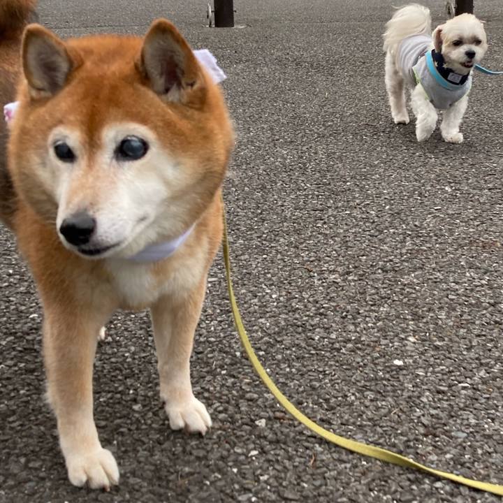 Df7e0122 26b2 4d23 8afe 6d02163e4835 1689240443560