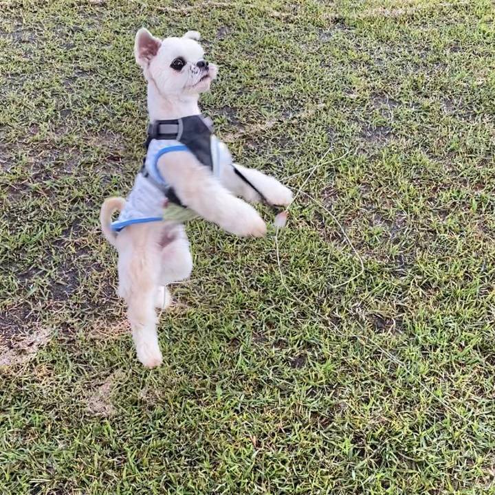 Df7e08fe 7d2b 4d56 bcff 535c87048932 1587212212784