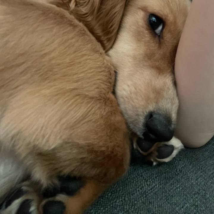 Df7e128a eb2e 4217 9b4c 49fb5e042918 1692771423948