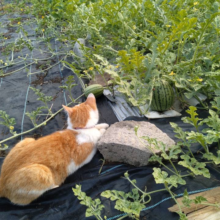 Df7e4562 3ae0 4adf b4c5 5f41bf933d27 1752013640791