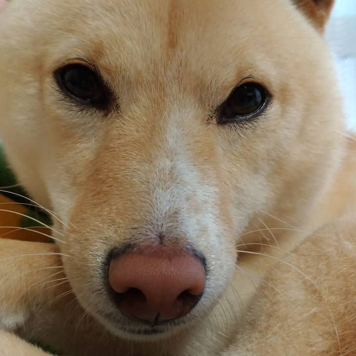 Df7e4fd5 bd7b 4a9c 9bb6 abd25801012a 1523618900930