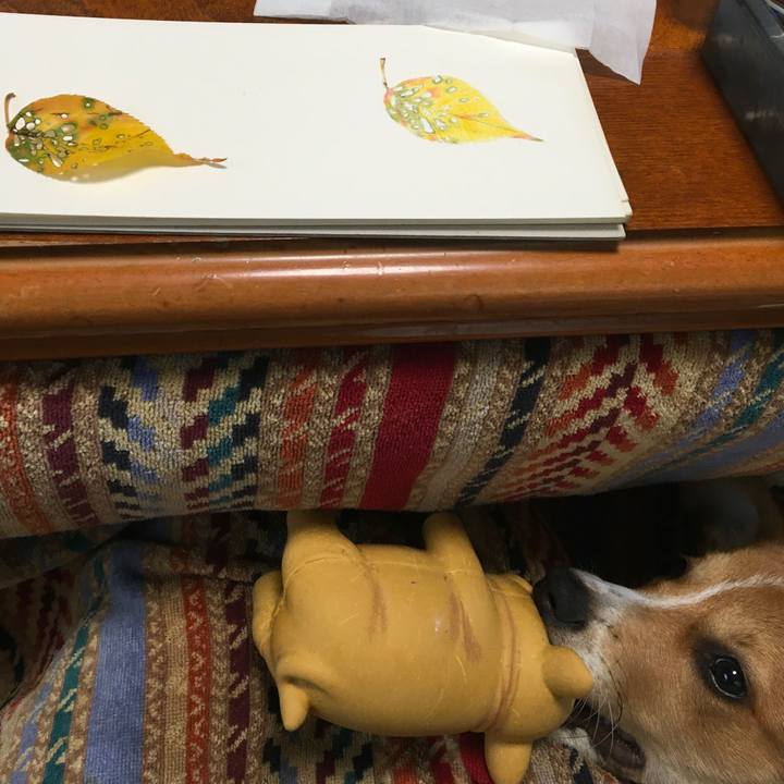 Df7e5190 8e11 43a6 b3a0 e62bd3a3e0ff 1600220571317