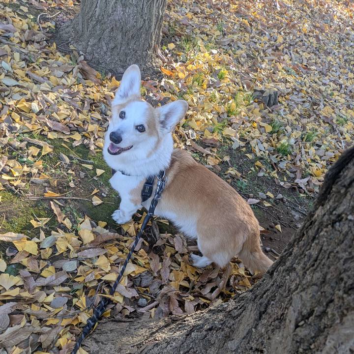 Df7e52cf d9f4 4266 8909 00ebb08a1ec7 1765356048760